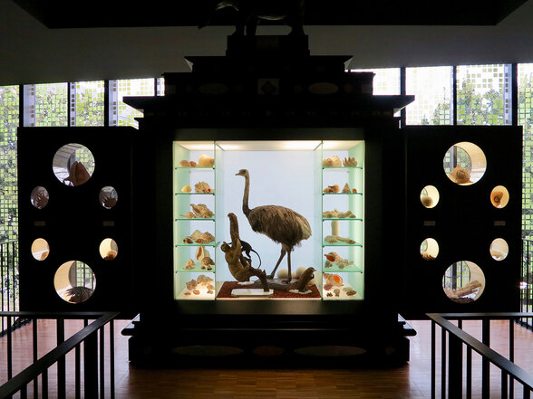  - Agrandir l'image, fenêtre modale