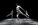 Stage pour danseurs amateurs